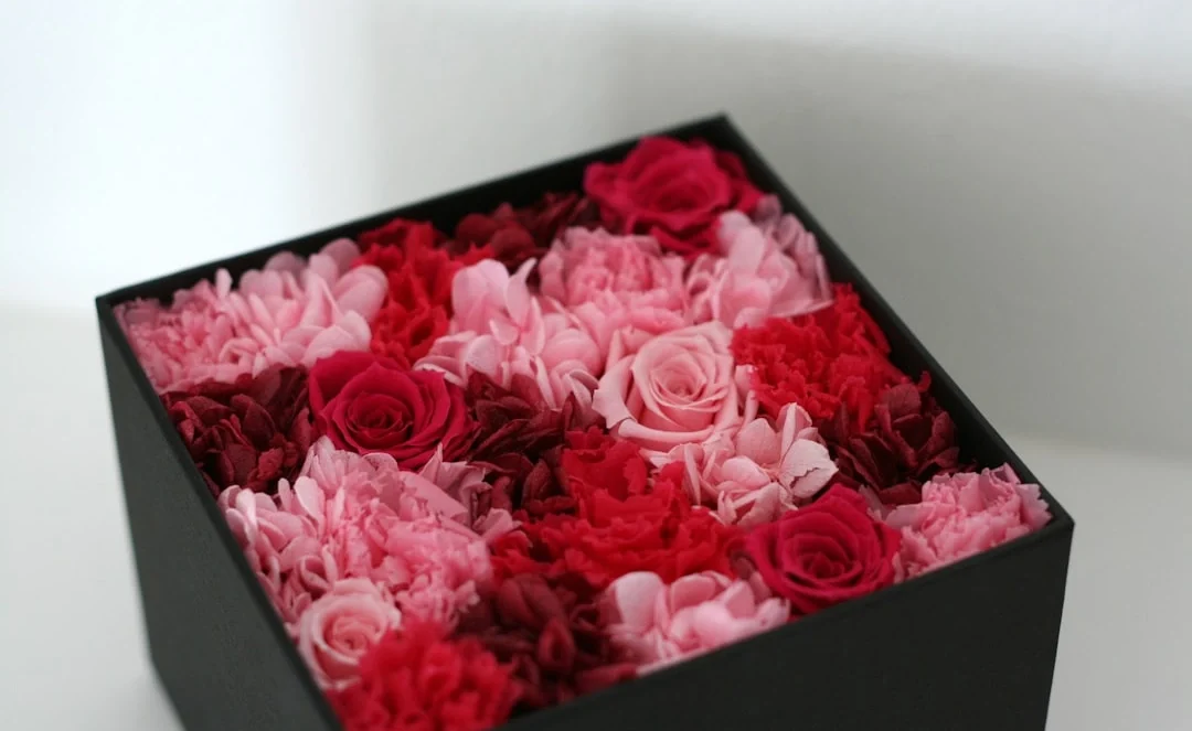 Rosboxar Gift Ideas