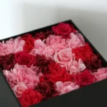 Rosboxar Gift Ideas