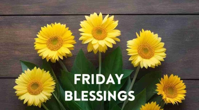 55 Friday Blessings That Will Light Up Your Weekend 55 Friday Blessings That Will Light Up Your Weekend